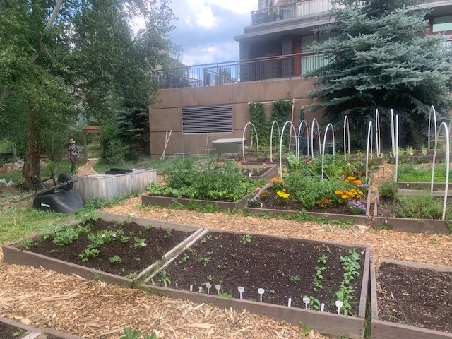 The Garden