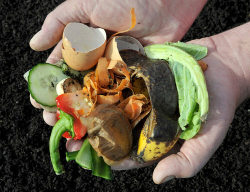 Sustainable Actions Guide: At Home and In the Office